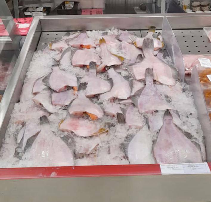 Свежая охлажденная камбала поступила на прилавки магазинов в рамках проекта Камчатская рыба